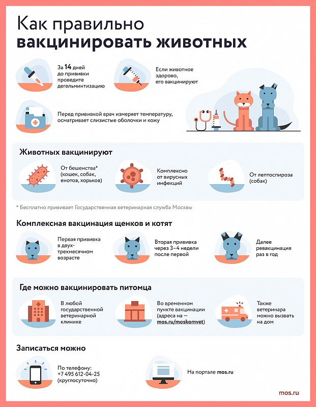 В этом году в Москве будет работать почти две тысячи временных пунктов вакцинации животных