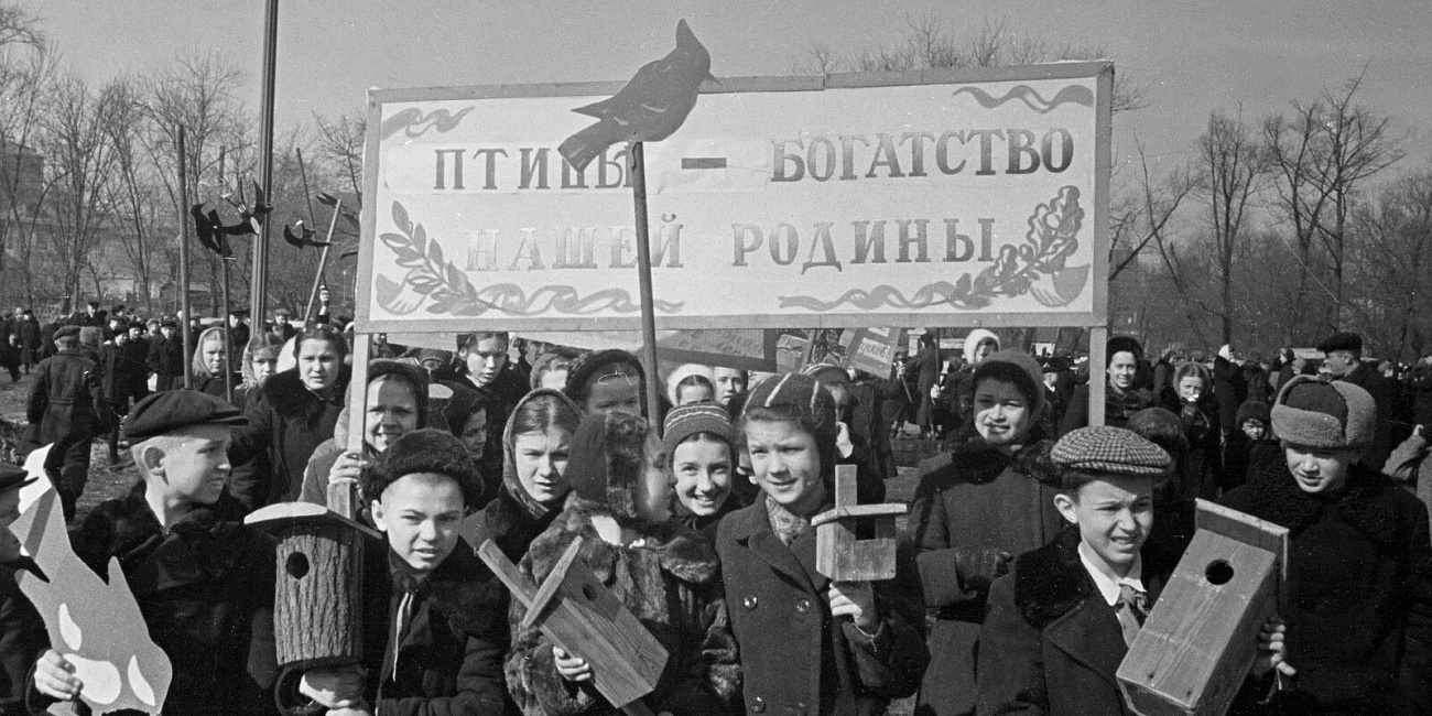 Белки, утки и лебеди: кого привезли в московские парки в середине XX века