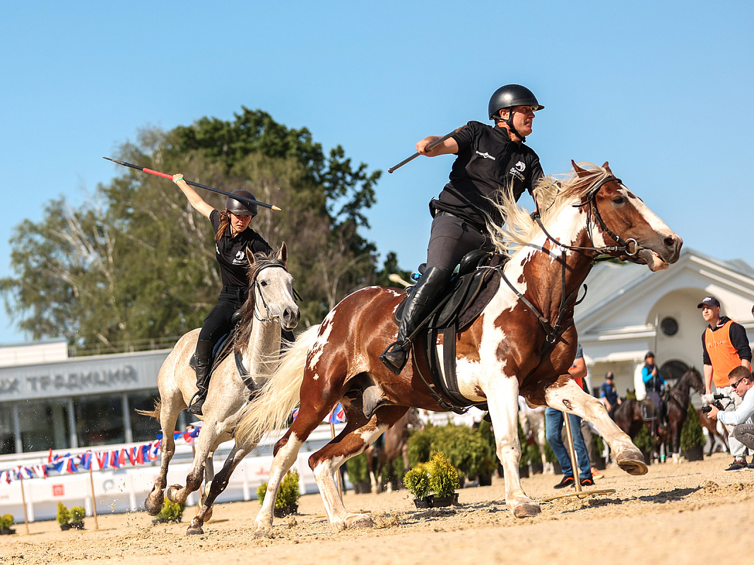 На ВДНХ пройдут международные соревнования по конному спорту