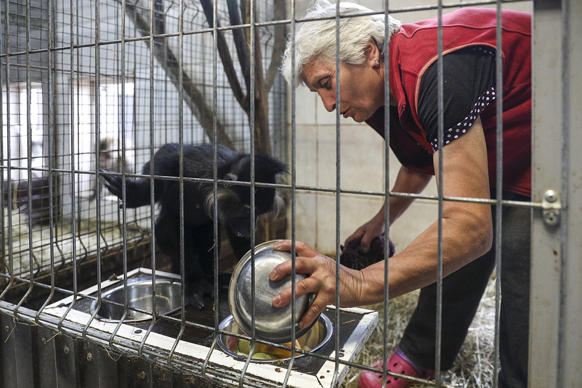 Мэр рассказал, кого и как выхаживают специалисты московского центра реабилитации диких животных