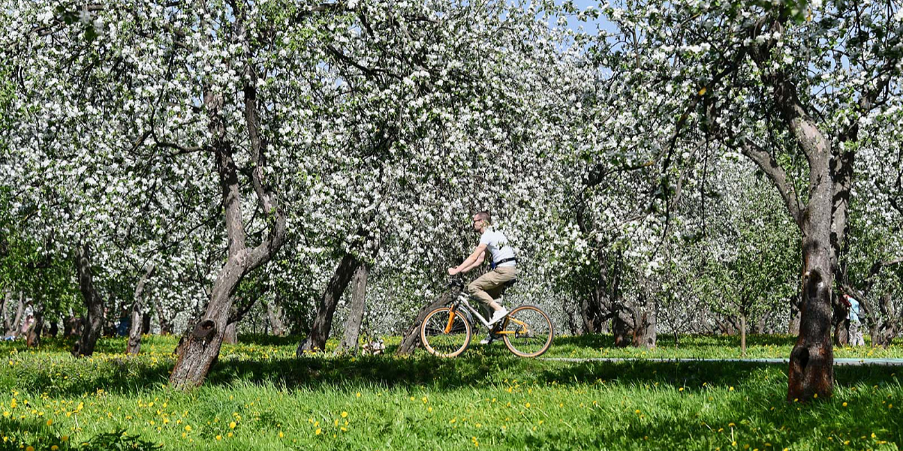 Москвичи выбрали лучшие парки для велопрогулок, детского досуга и пляжного отдыха