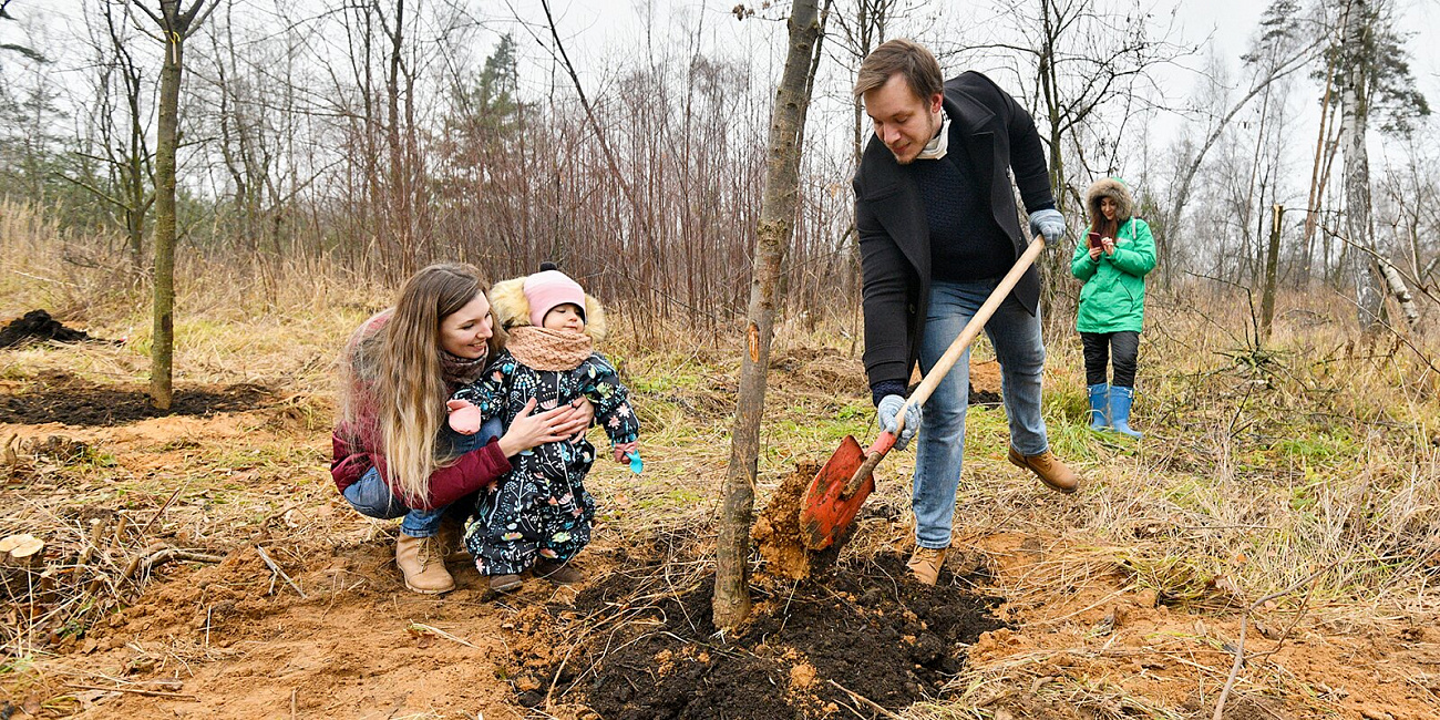 За три года участники проекта «Наше дерево» высадили более 15 тысяч растений