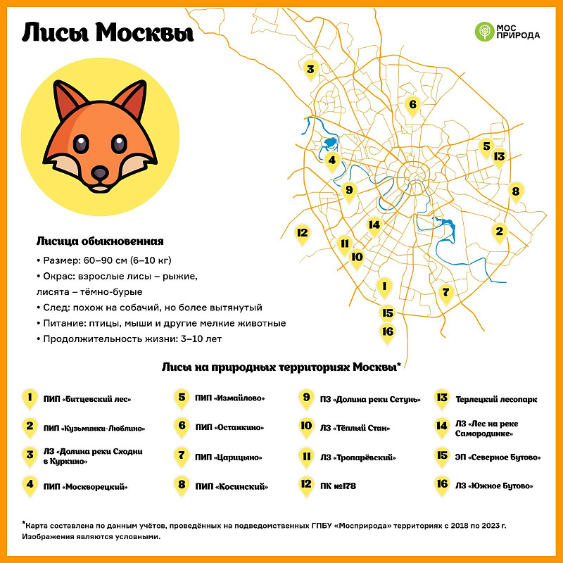 Специалисты Мосприроды создали карту обитания лис в столице