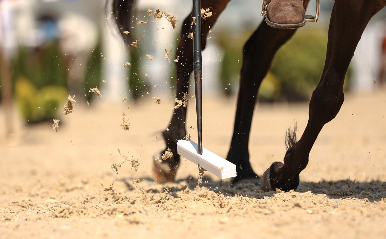 На ВДНХ пройдут международные соревнования по конному спорту